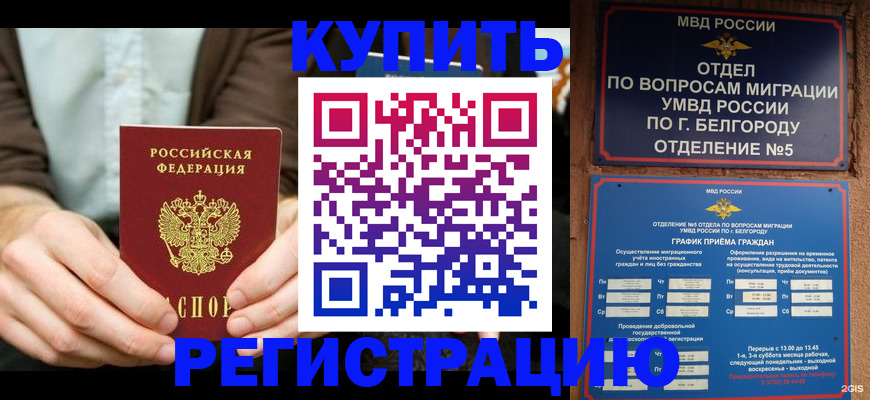 прописка 2025 в Торопеце